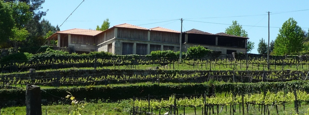 Vineyards