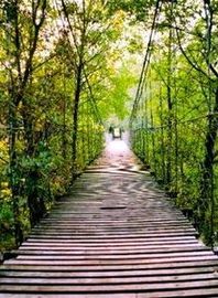 Wire Bridge Portugal